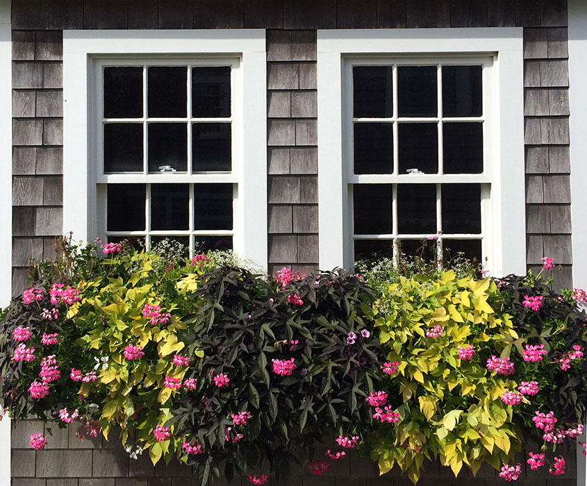 Nantucket Window Boxes and Containers for your Nantucket Home